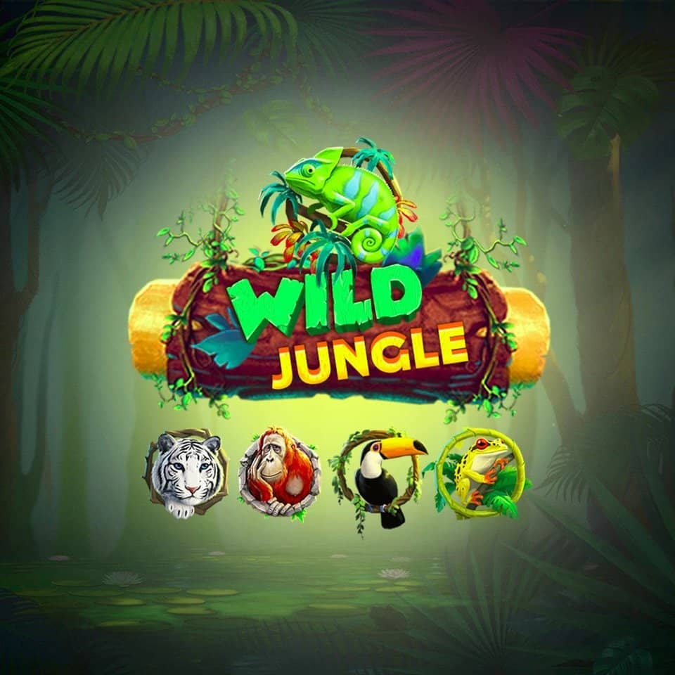 Jogo blaze da dinheiro
